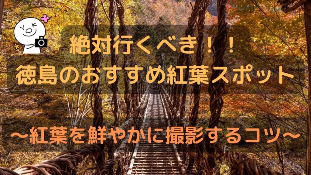 22年絶対いくべき 徳島県のおすすめ紅葉スポット11選 紅葉を綺麗に撮影するコツ Yogon Photograph